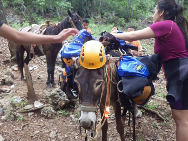 Nos ayudan con el equipo